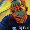 djbullcook